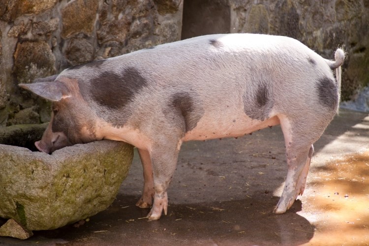 Novo Rješenje o zonama ograničenja I i III